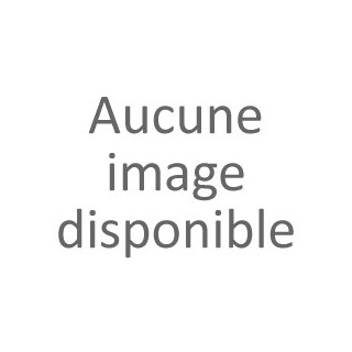 Stylo Bic 4 Couleurs